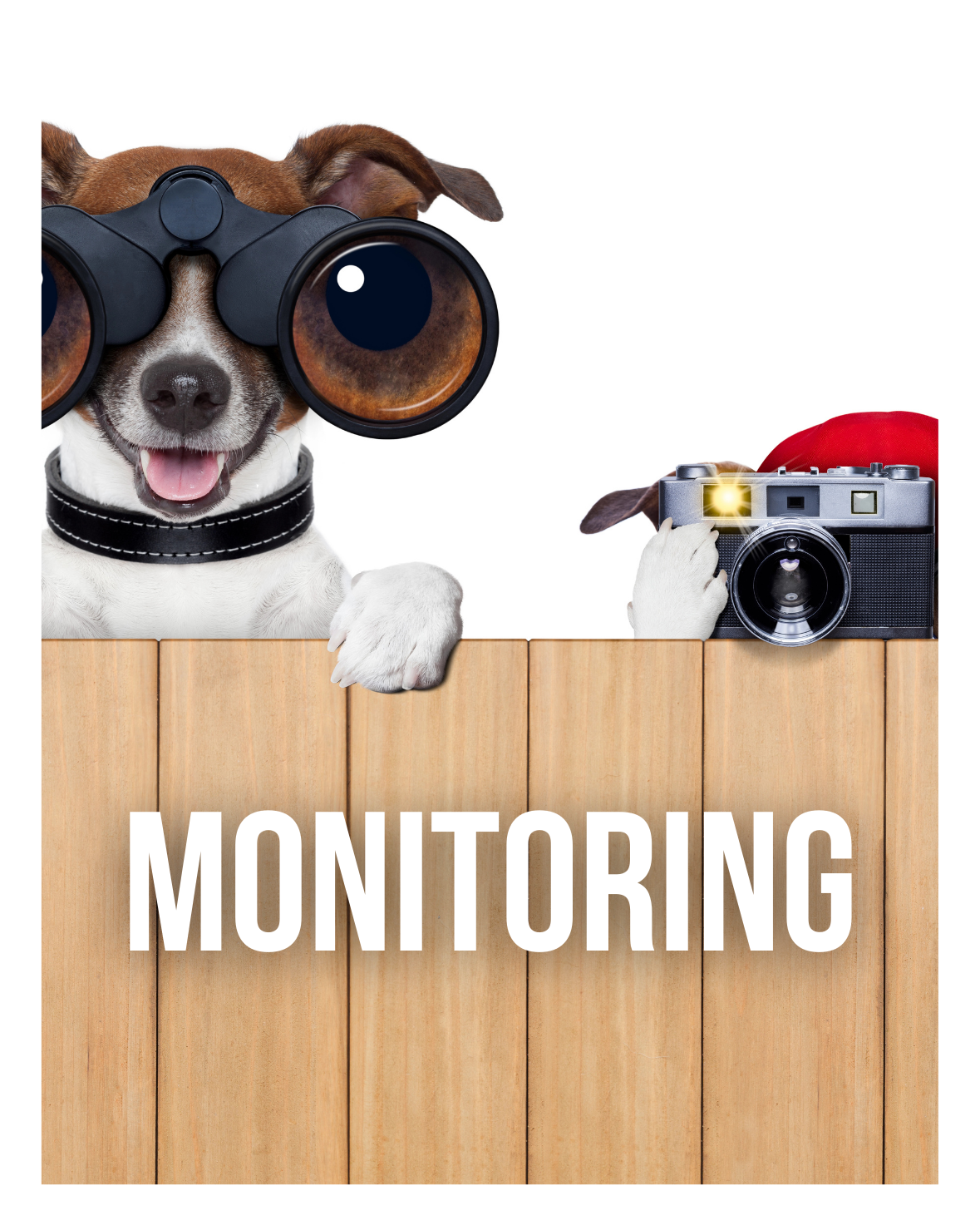 Monitoring