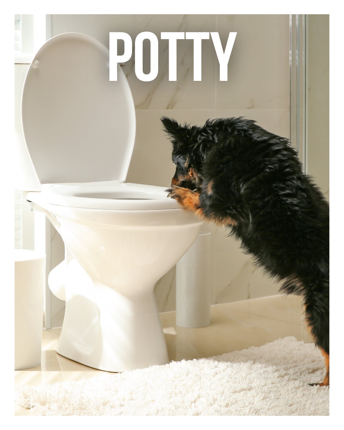 POTTY