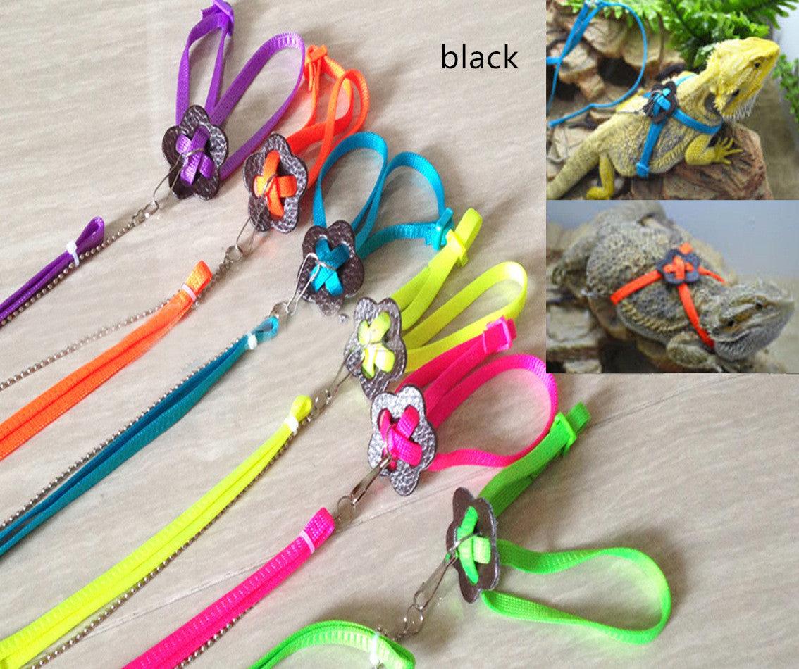 Lizard Adventure Harness And Leash Set-15