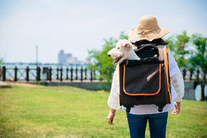 Liso Backpack Parallel Transport Pet Trolley – Orange/Brown-1