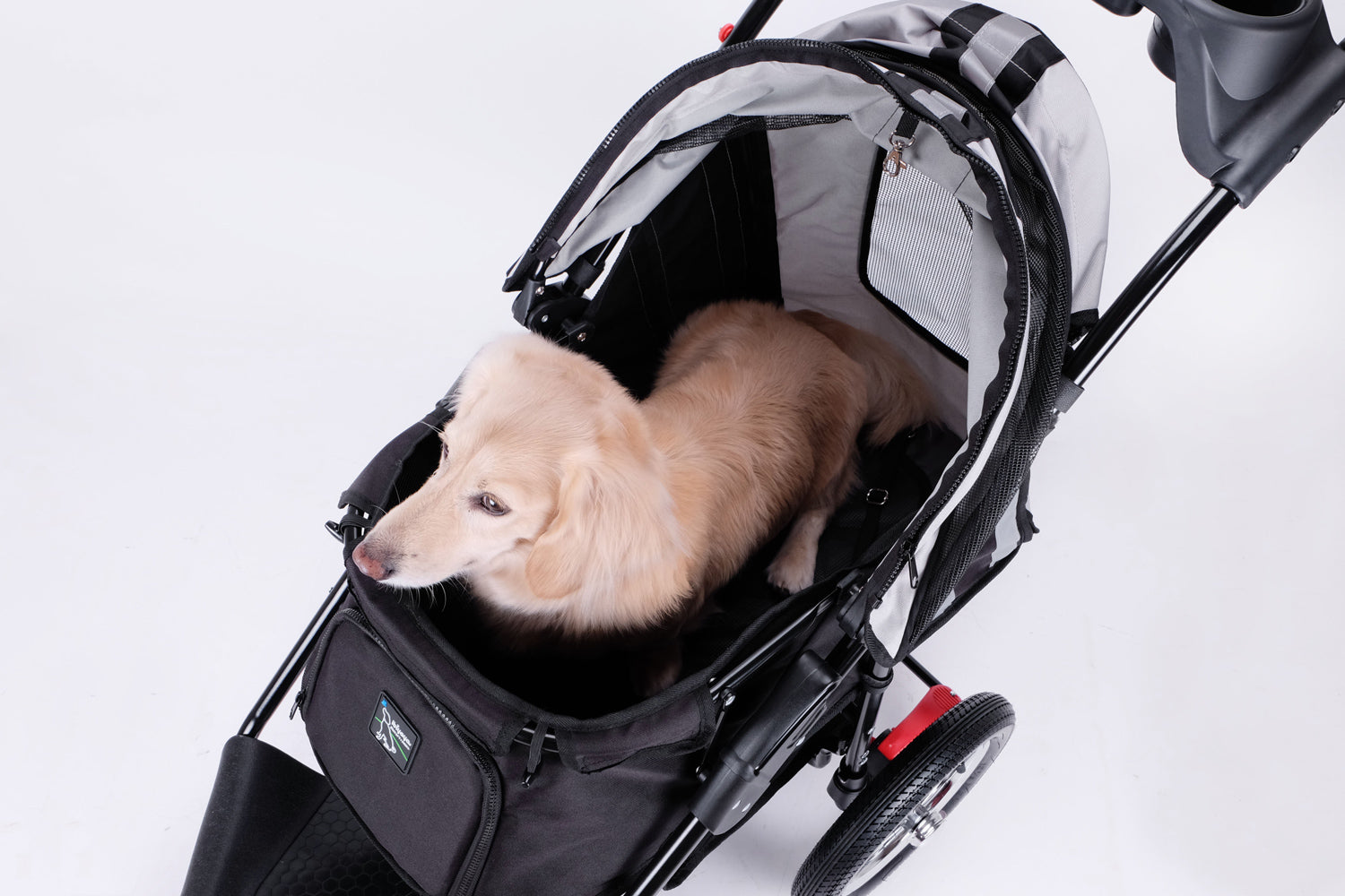 Turbo Pet Jogger - Black-2