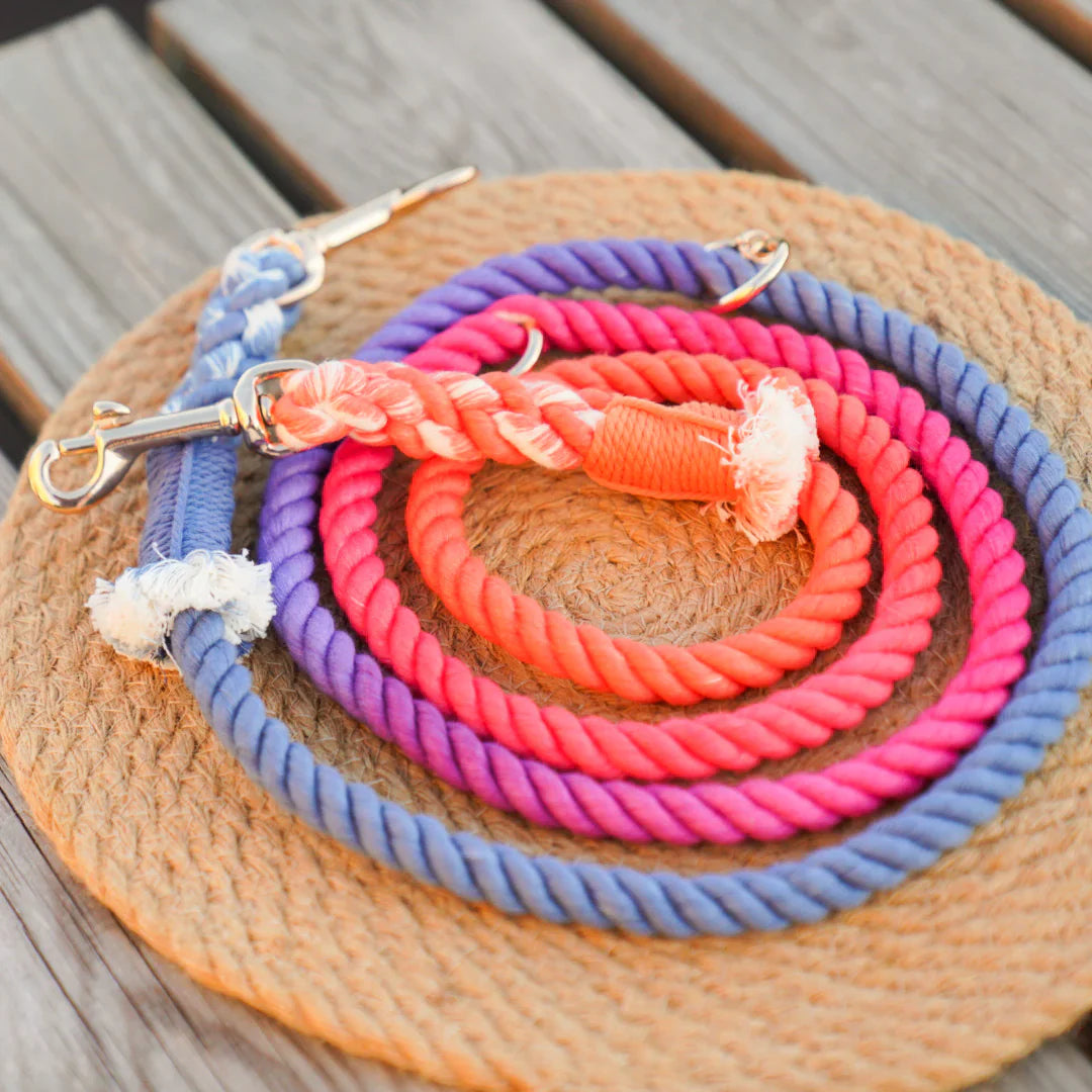 HANDS FREE DOG ROPE LEASH - PALETTE-0