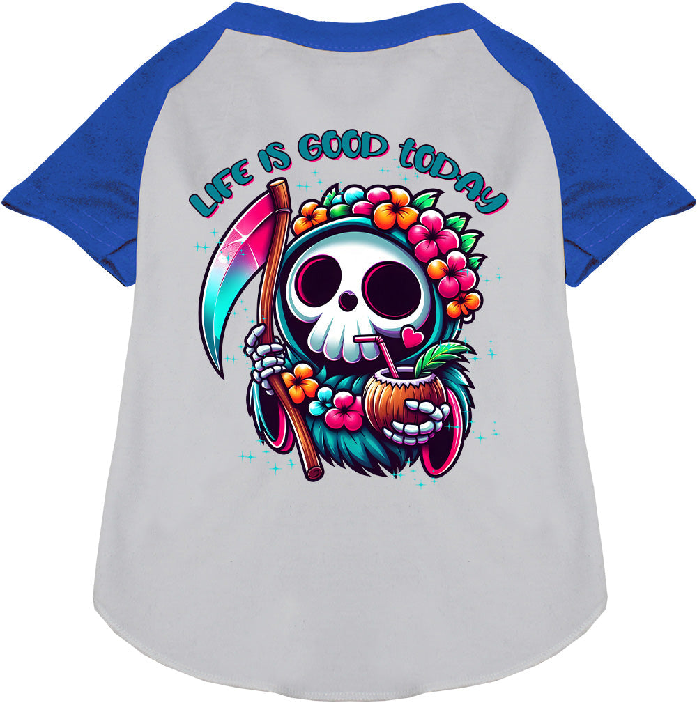 Tropical Grim Reaper Pet Raglan Shirt-3