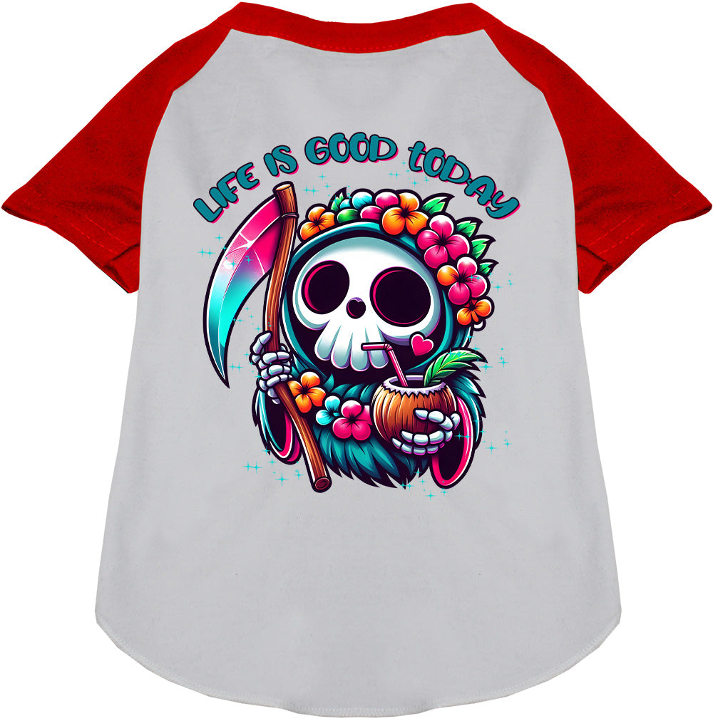 Tropical Grim Reaper Pet Raglan Shirt-7