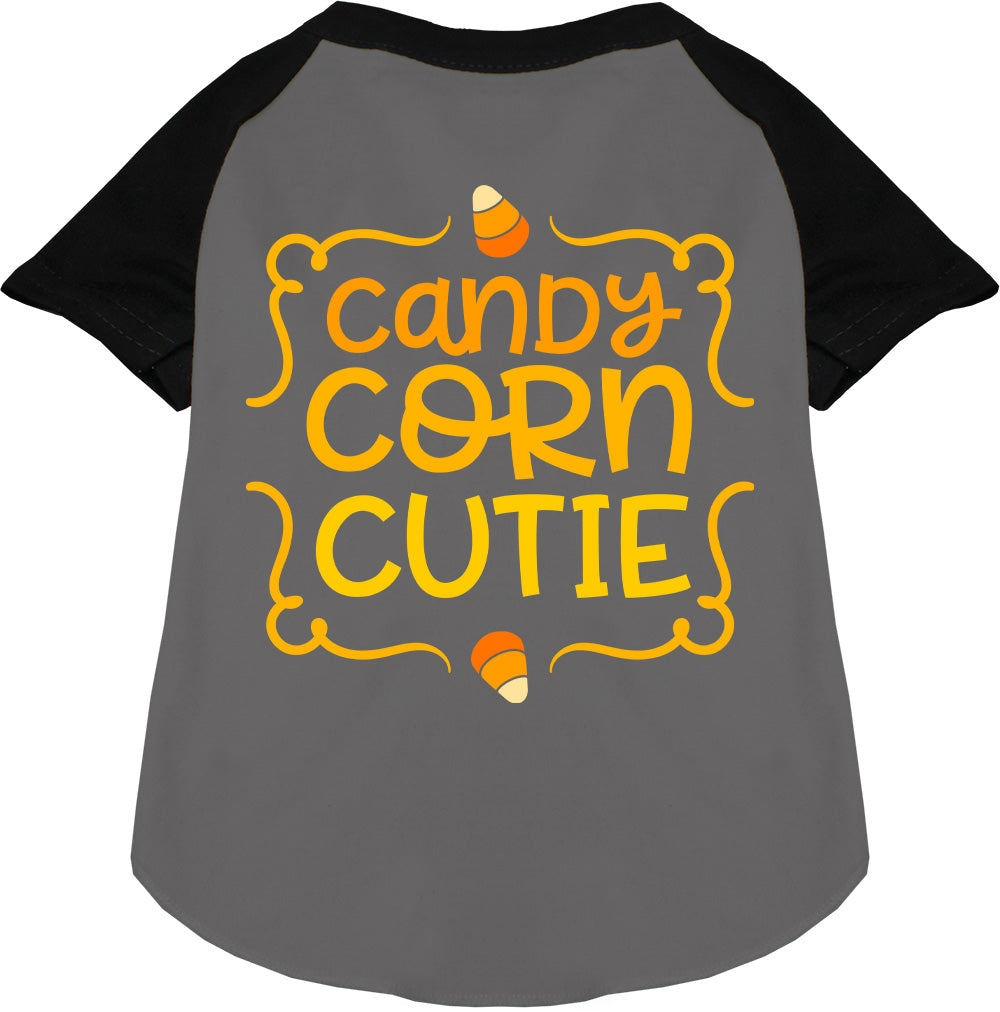 Candy Corn Cutie Pet Raglan Shirt-0