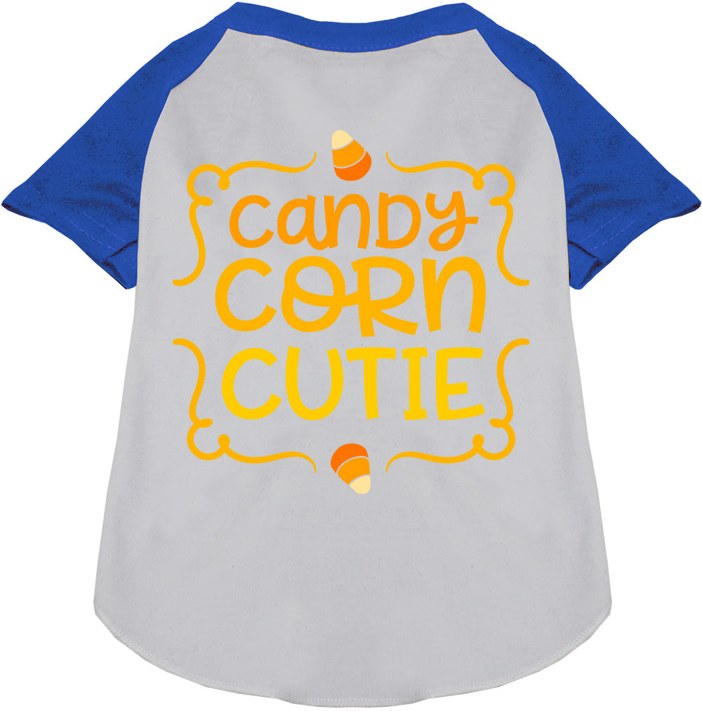 Candy Corn Cutie Pet Raglan Shirt-2