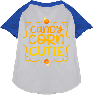 Candy Corn Cutie Pet Raglan Shirt-2