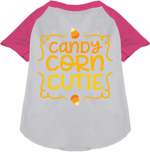 Candy Corn Cutie Pet Raglan Shirt-3