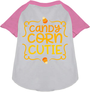 Candy Corn Cutie Pet Raglan Shirt-4