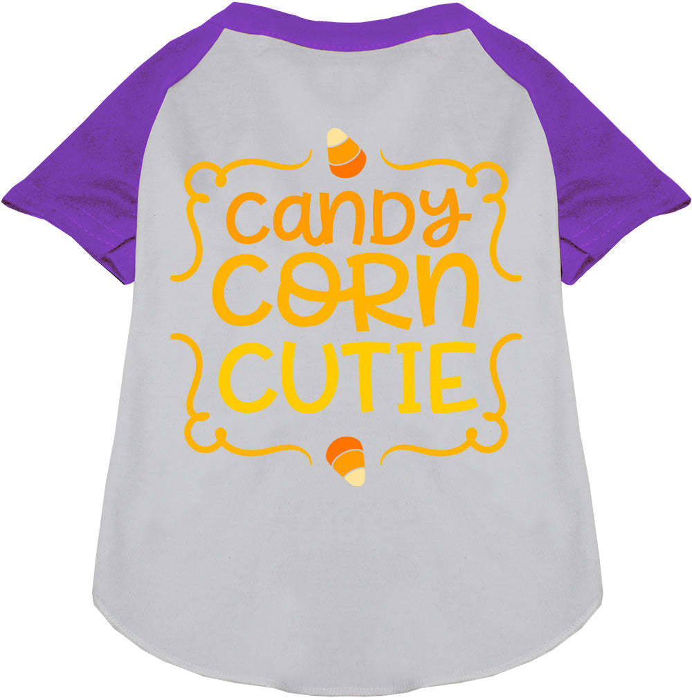 Candy Corn Cutie Pet Raglan Shirt-6