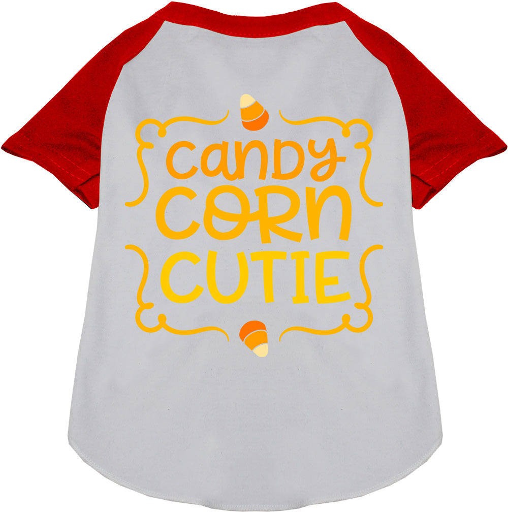 Candy Corn Cutie Pet Raglan Shirt-7