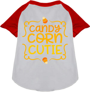 Candy Corn Cutie Pet Raglan Shirt-7