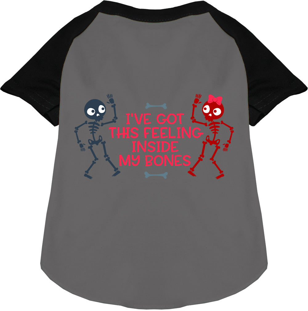 Inside My Bones Pet Raglan Shirt-2