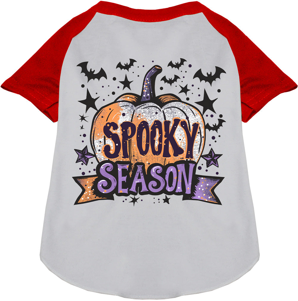 Batty Spooky Season Pet Raglan Shirt-7