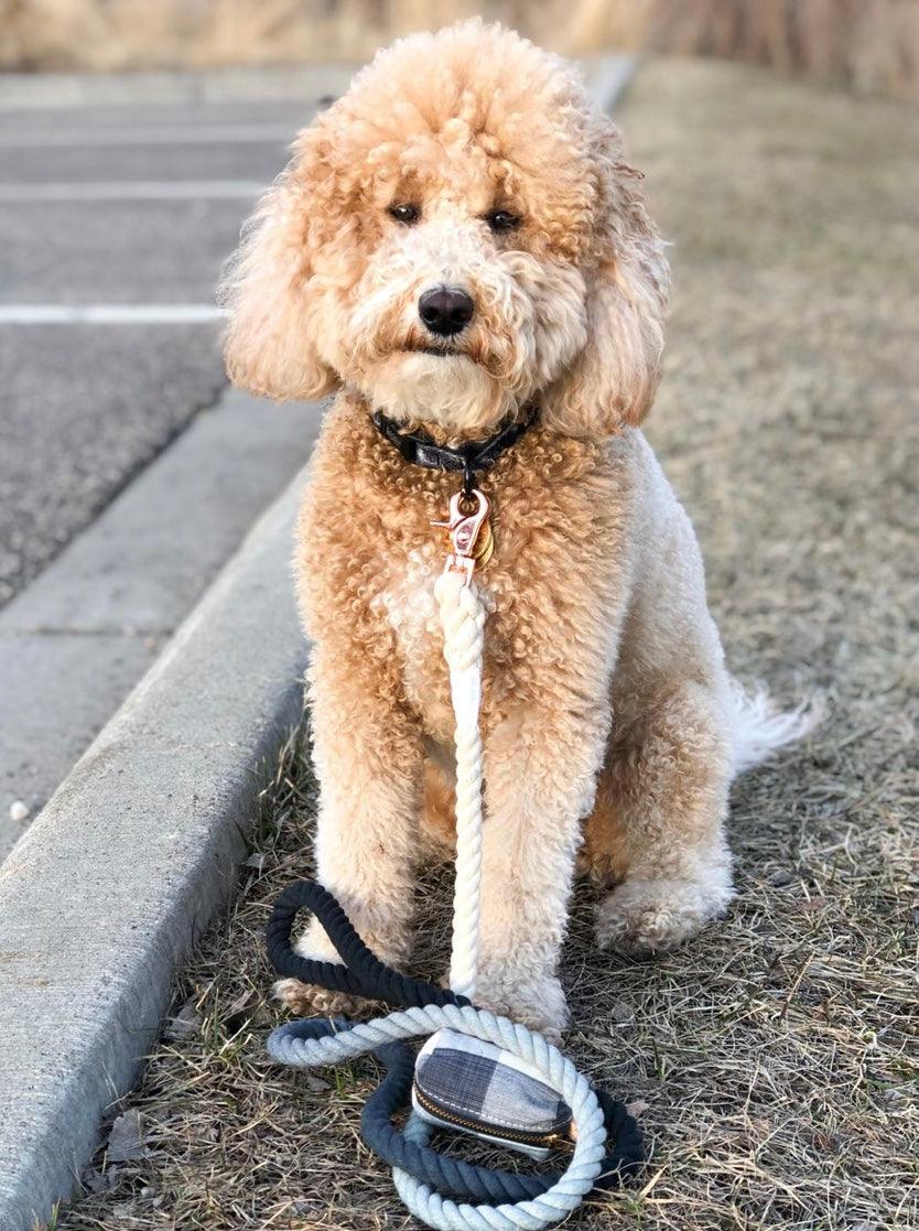 ROPE LEASH - OMBRE BLACK-1