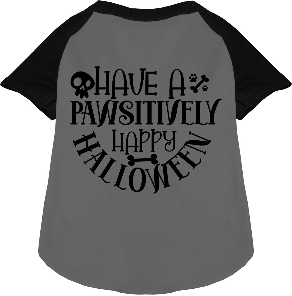 Pawsitively Happy Halloween Pet Raglan Shirt-2