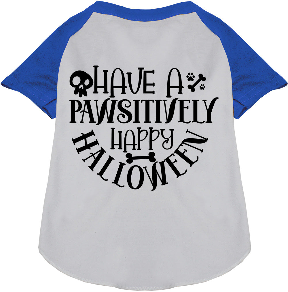 Pawsitively Happy Halloween Pet Raglan Shirt-3