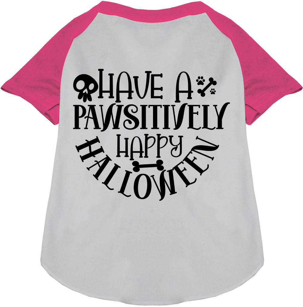 Pawsitively Happy Halloween Pet Raglan Shirt-4