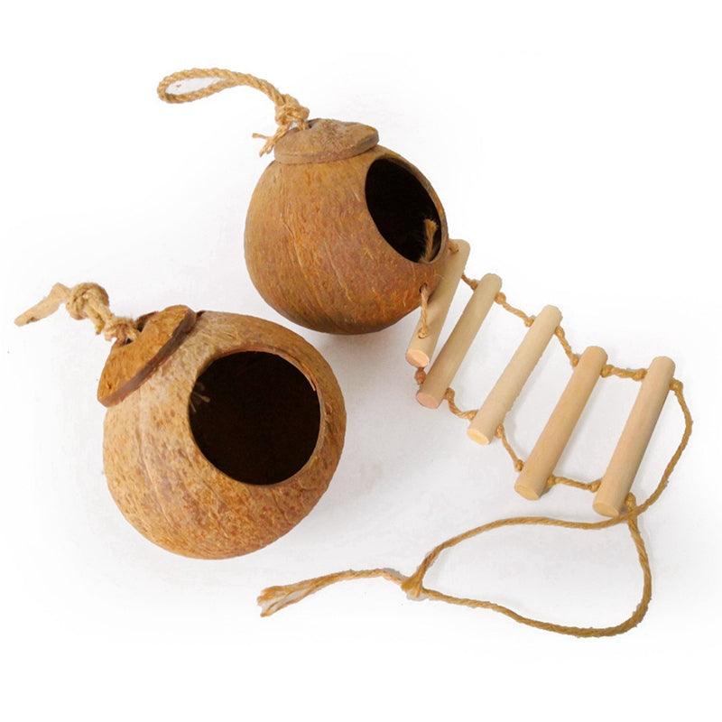 Coconut Shell Paradise Bird Nest-2