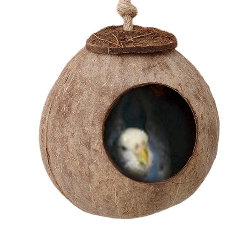 Coconut Shell Paradise Bird Nest-5