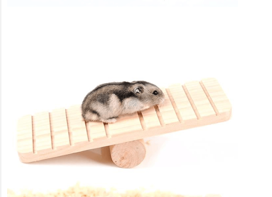 Pet Playtime Wooden Seesaw: A Fun And Durable Toy For Small Animals-3