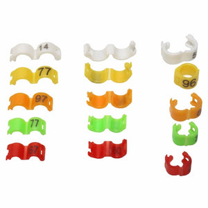 Vibrant Bird Foot Ring Assortment - Enhance Your Avian Collection!-0