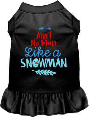 Ain't No Man Like a Snowman Pet Dress-0