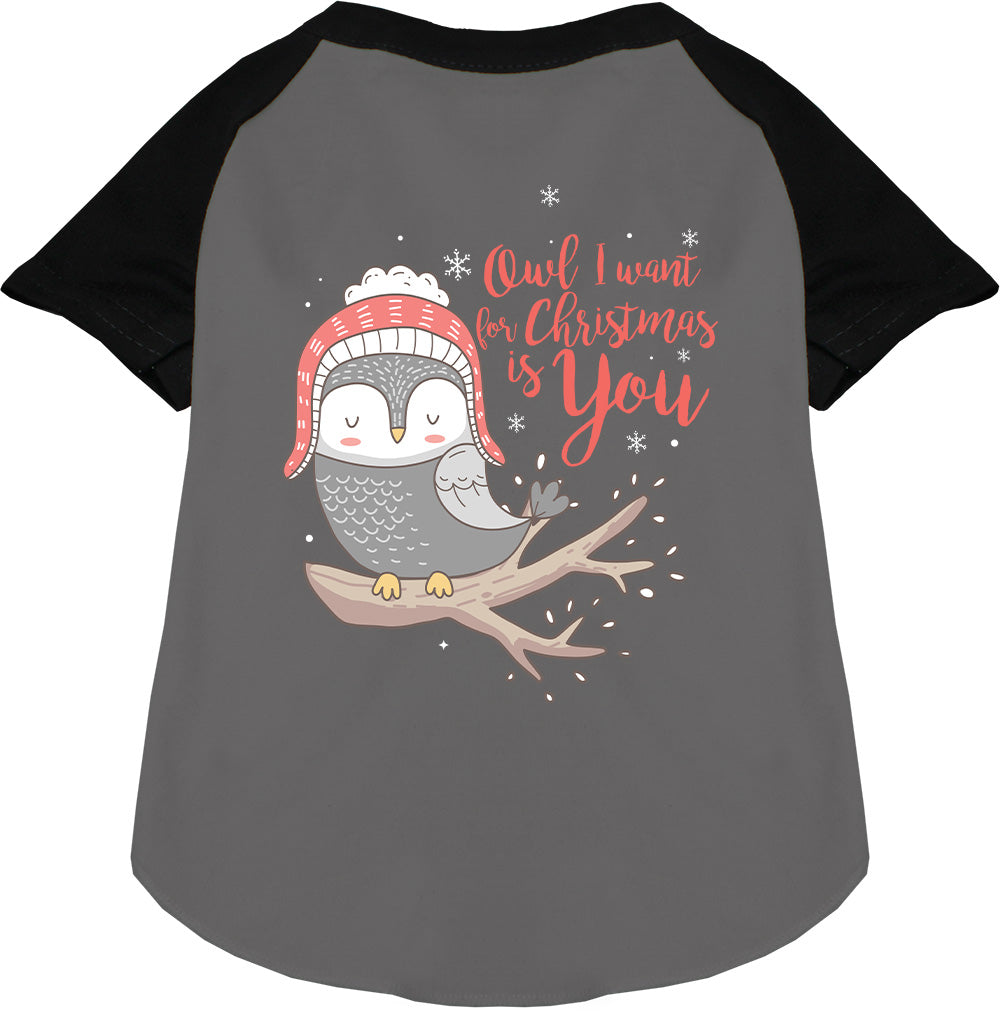 Owl I Want For Christmas Pet Raglan Shirt-0