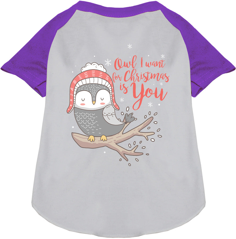 Owl I Want For Christmas Pet Raglan Shirt-6