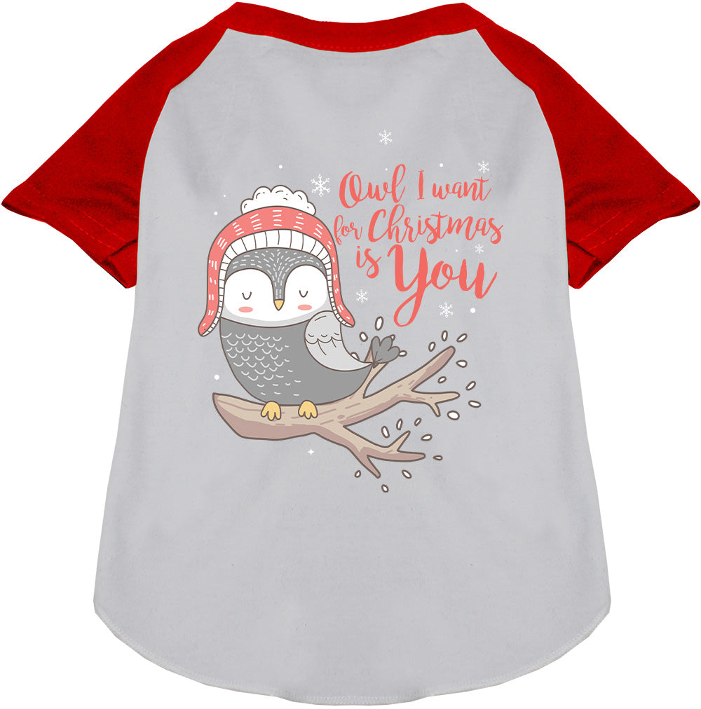 Owl I Want For Christmas Pet Raglan Shirt-7