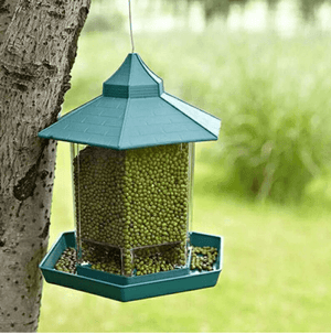 Weatherproof Avian Feeder Box-0