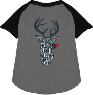 All Santa's Deer Pet Raglan Shirt-2