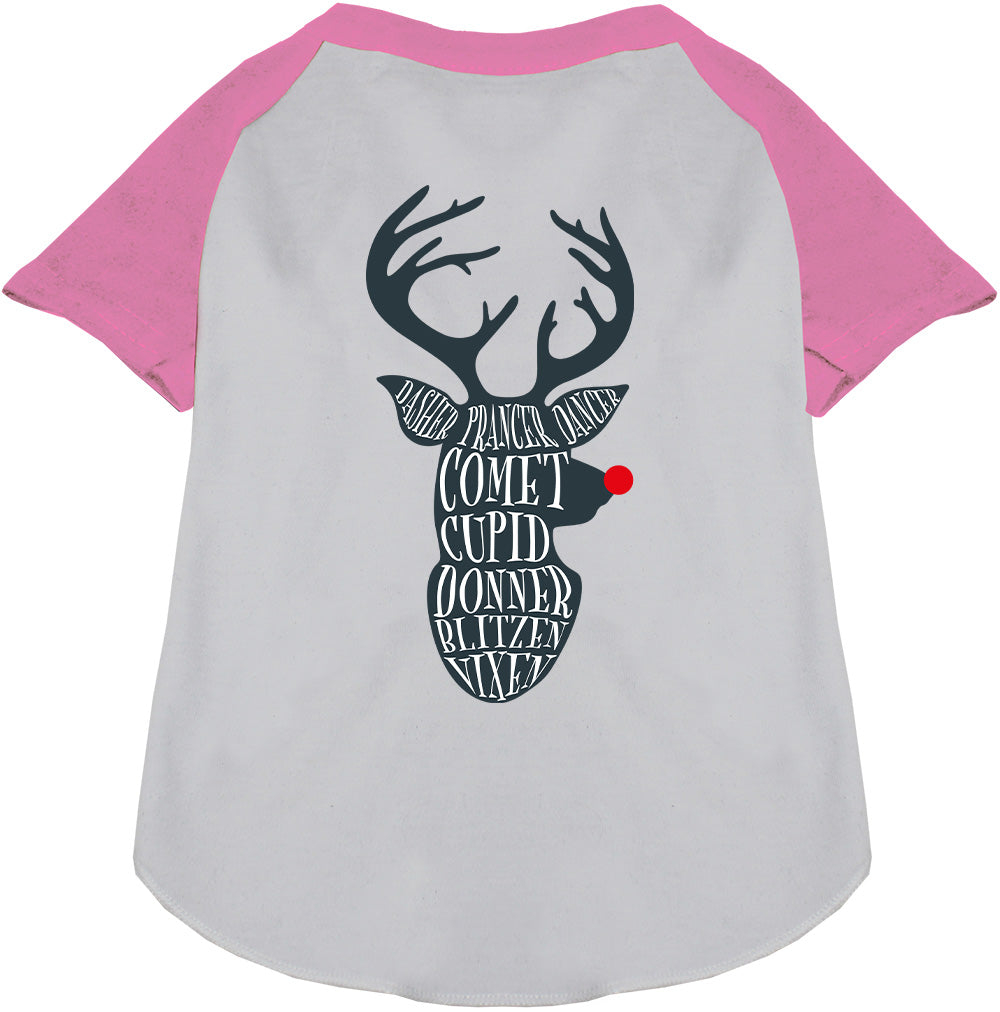 All Santa's Deer Pet Raglan Shirt-6