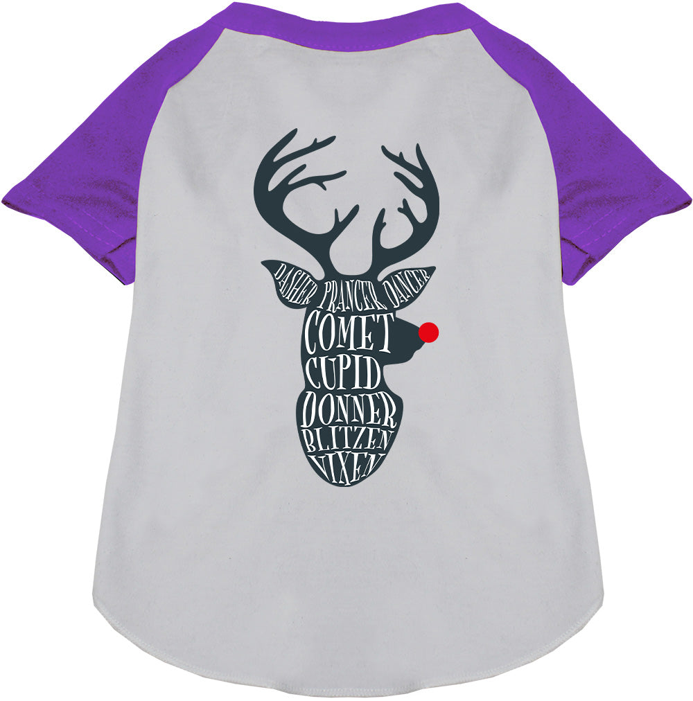 All Santa's Deer Pet Raglan Shirt-7