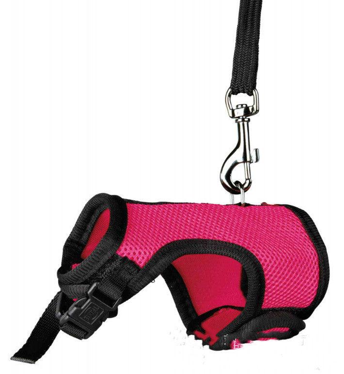 Pet Pawsome Nylon Leash: The Perfect Traction Belt For Small Fur Babies!-6