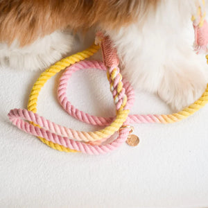 HANDS FREE DOG ROPE LEASH - OH MY MARSHMALLOW-1