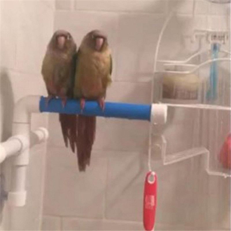 Foldable Bird Shower Stand-3