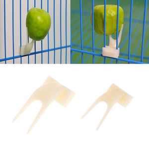 Pet Treat Delight - Bird Fruit Fork Set-3