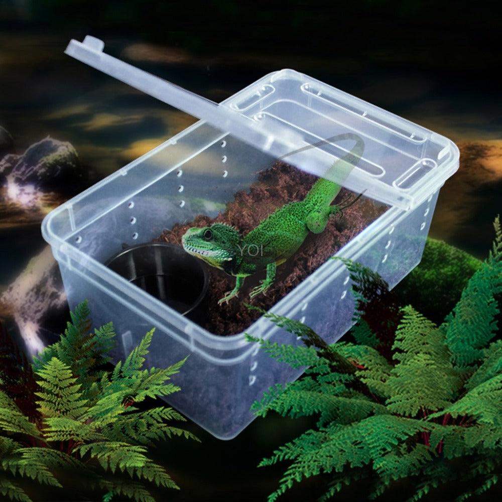 Transparent Reptile Haven: The Perfect Enclosure For Your Cold-Blooded Companions-2