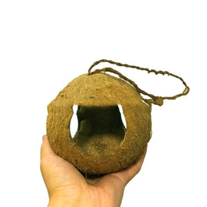 Rustic Retreat Coconut Shell Bird Nest Feeder-0