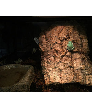 Reptile Hideaway Haven: Natural Cork Bark Climbing And Hiding Spot For Reptiles-4