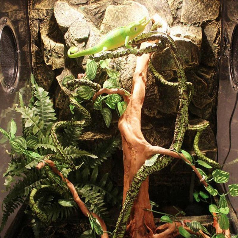 Tropical Rainforest Reptile Habitat Kit-2