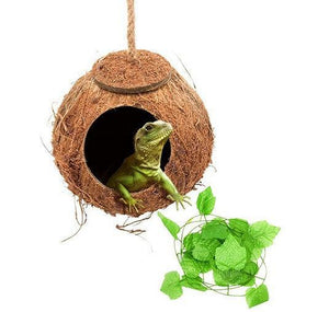 Reptile Adventure Set: Coconut Nest And Vine Climbing Kit-0