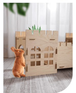 Premium Eco-Friendly Rabbit Castle: Assembled Detachable Wooden House For Rabbits And Guinea Pigs-2