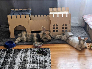 Premium Eco-Friendly Rabbit Castle: Assembled Detachable Wooden House For Rabbits And Guinea Pigs-5