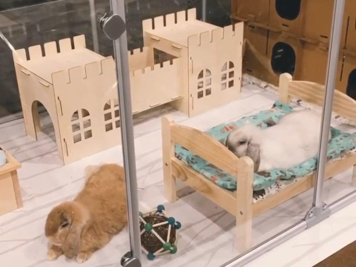 Premium Eco-Friendly Rabbit Castle: Assembled Detachable Wooden House For Rabbits And Guinea Pigs-3