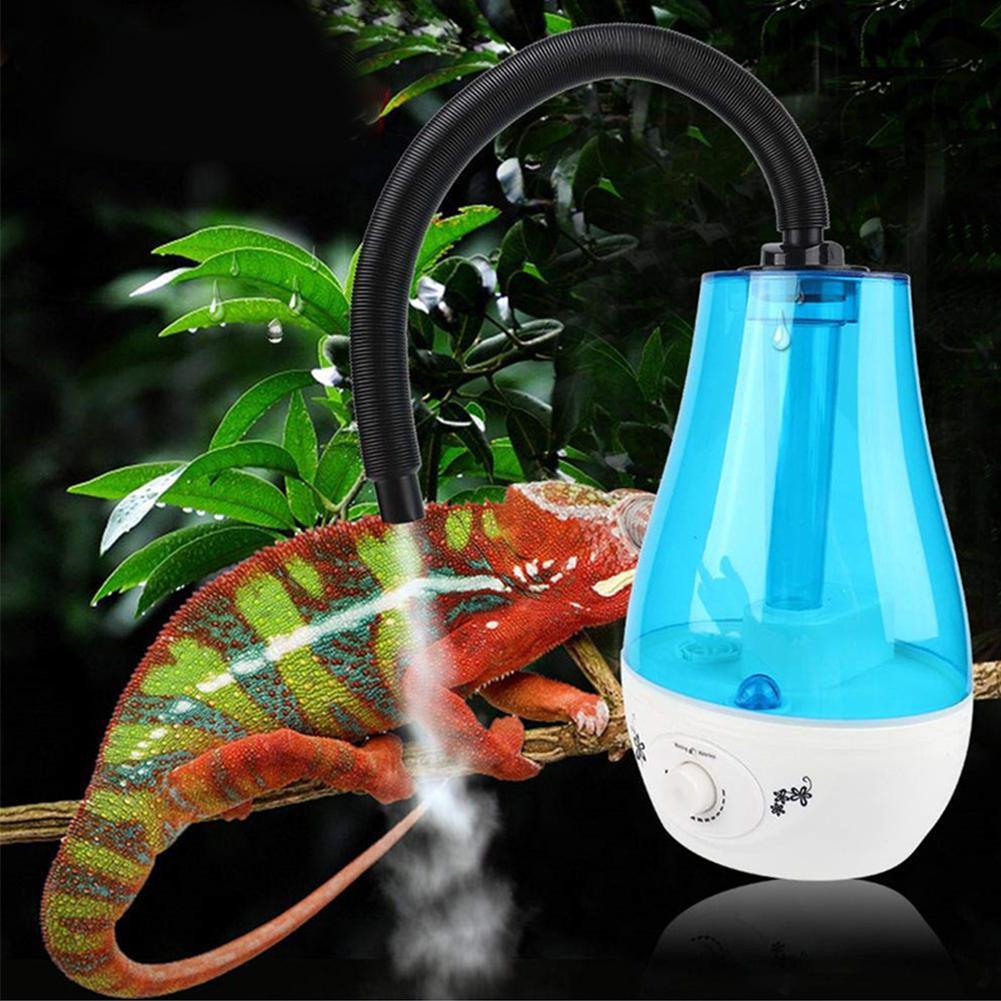 Simple Reptile Oasis: The Ultimate Household Humidifier For Your Pet-1