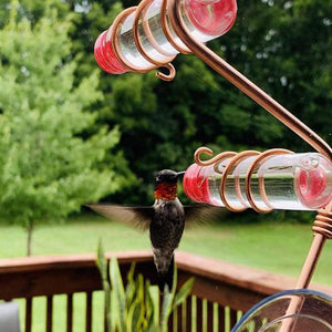 Copper Wire Hummingbird Feeder Kit: Handmade Garden Bird Feeder With Suction Cups-7