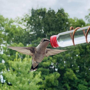 Copper Wire Hummingbird Feeder Kit: Handmade Garden Bird Feeder With Suction Cups-3