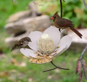 Petal Haven Bird Feeder-4